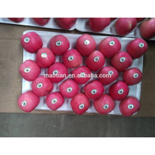 Fruta fresca de manzana en venta